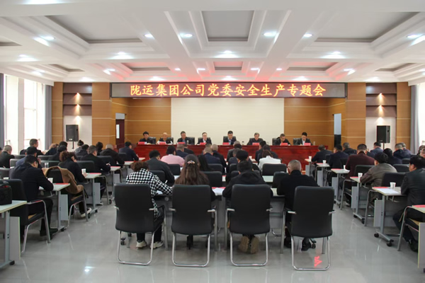 隴運(yùn)集團(tuán)公司黨委召開(kāi)2025年經(jīng)濟(jì)運(yùn)行專(zhuān)題會(huì)議和安全生產(chǎn)專(zhuān)題會(huì)議